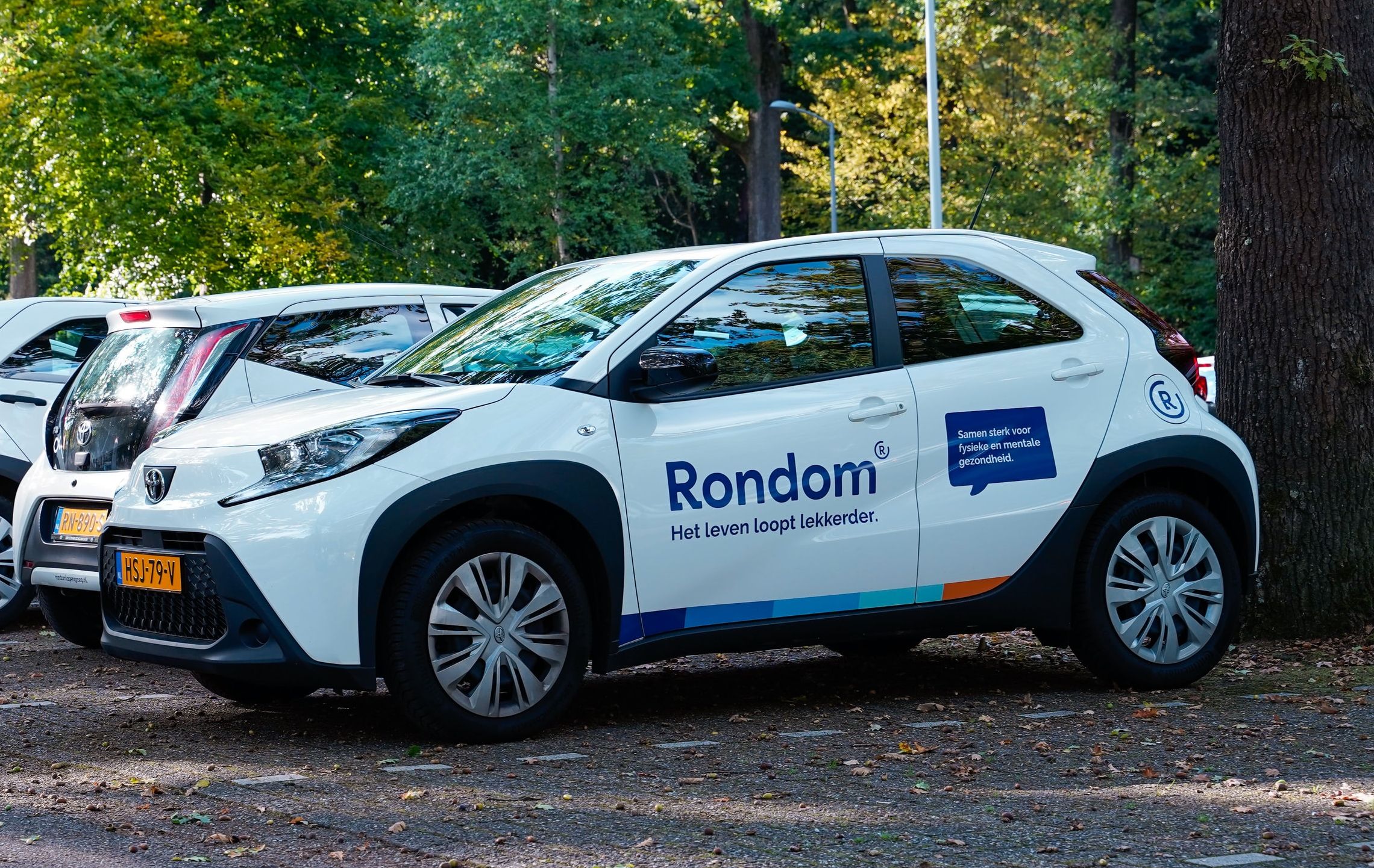Rondom auto